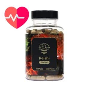 reishi capsules